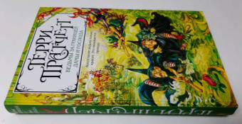 Терри Пратчетт: Ведьмы за границей. Дамы и Господа