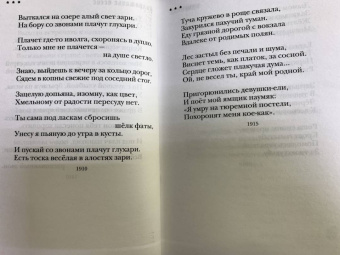 Сергей Есенин: Не жалею, не зову, не плачу...