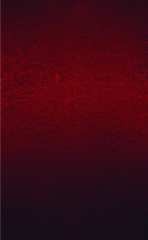 Мартин Джордж Р. Р.: Таинственный рыцарь