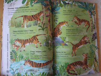 Зоммер, Тейлор: Большая книга зверей