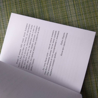 Моник Рофи: Русалка Черной Раковины