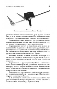 Рунова, Чжан, Пузанова: Дендрометрия. Учебное пособие