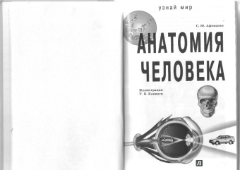 Сергей Афонькин: Анатомия человека. Школьный путеводитель