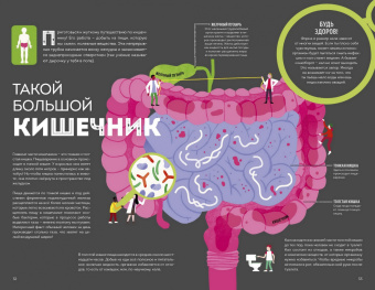 Макс Пембертон: Тело человека. Как работает наш удивительный организм
