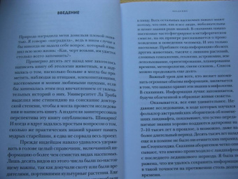 Линн Келли: Мастерская памяти. Лучшие методики запоминания в истории человечества