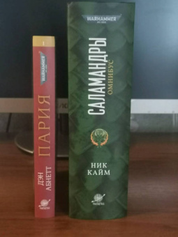 Ник Кайм: Саламандры