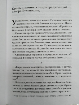 Джереми Дронфилд: Мальчик, который пошел в Освенцим вслед за отцом. Реальная история