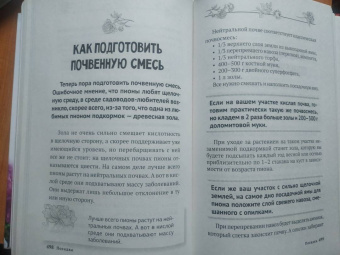 Лариса Кочелаева: Энциклопедия цветовода