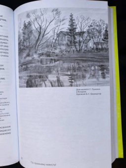 Михаил Визель: Пушкин. Болдино. Карантин. Хроника самоизоляции 1830 года