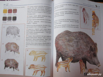 Уте Людвиг-Кайзер: Мои первые уроки рисования. Рисуем зверюшек!