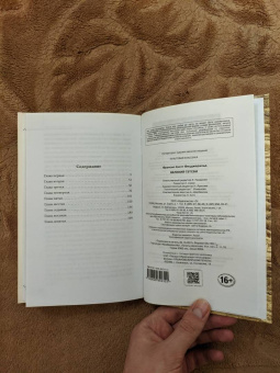 Фрэнсис Фицджеральд: Великий Гэтсби