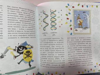 Ампелонская, Бузанова, Дейкун: Хочу знать всё про Новый год