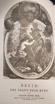 Рид Майн: Письмо и пуля