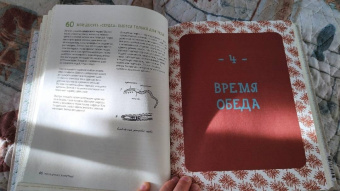 Матильда Мастерс: Может ли лошадь решать уравнения? И ещё 320 вопросов о животных