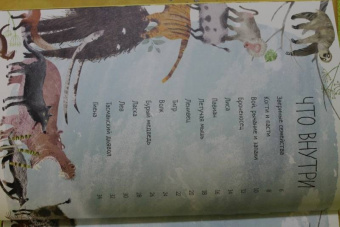 Зоммер, Тейлор: Большая книга зверей