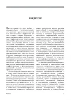 Александр Жаров: Патологическая анатомия животных. Учебник для вузов