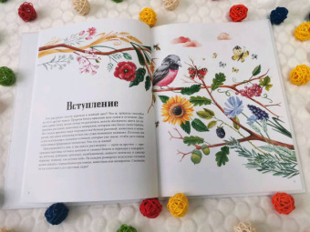 Седлачкова, Секанинова: Двенадцать красок природы