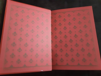 Луи Буссенар: Похитители бриллиантов