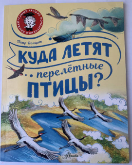 Петр Волцит: Куда летят перелётные птицы?