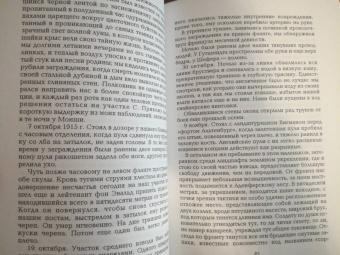Эрнст Юнгер: В стальных грозах