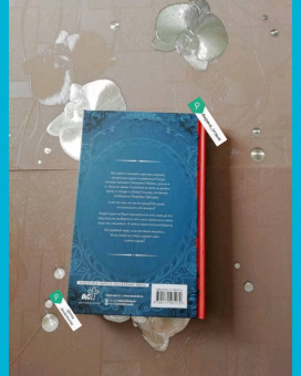 Чернованова, Индиви: Бунтарка и Хозяин Стужи