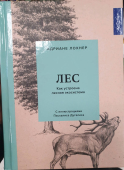 Адриане Лохнер: Лес. Как устроена лесная экосистема