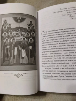 Преподобные отцы и старцы Оптинские. Жития и наставления