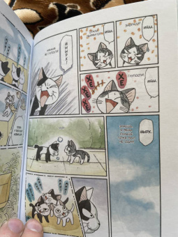 Конами Каната: Милый дом Чи. Книга  11