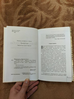 Фрэнсис Фицджеральд: Великий Гэтсби