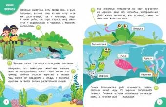 Наталия Баранова: Моя первая книга открытий. Для детей от 6-и лет