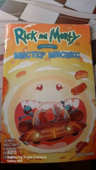 Асмус, Фестанте: Рик и Морти представляют. Мистер Мисикс