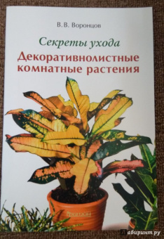 Валентин Воронцов: Секреты ухода. Декоративнолистные комнатные растений