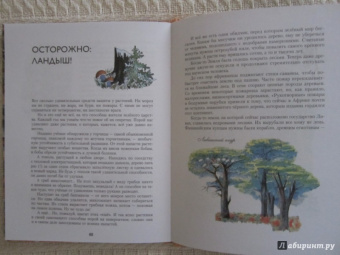 Николай Осипов: Заколдованное дерево