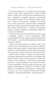 Цезарь Миллан: Уроки для "Вожака стаи"