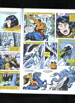 Рой Томас: Король Конан. Гиперборейская колдунья