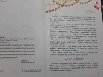 Ирина Муковникова: Новогодняя пропажа. Пушистый детектив