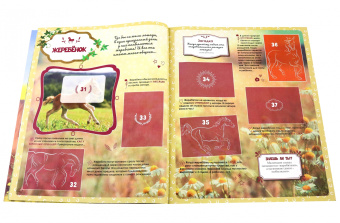 Альбом для коллекционных наклеек Лошади