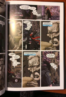 Кари Эндрюс: Человек-Паук. Стража