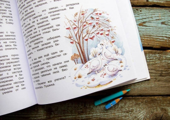 Дороченкова, Кравчук: Лесные секреты