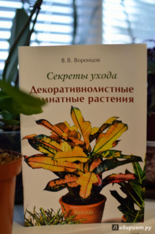 Валентин Воронцов: Секреты ухода. Декоративнолистные комнатные растений