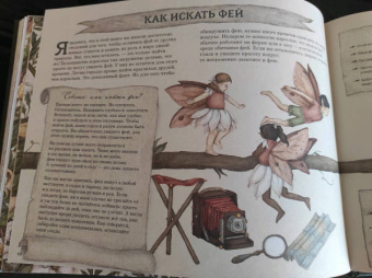 Секретная жизнь фей