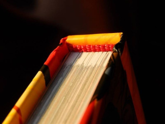 Брайан О`Мэлли: Скотт Пилигрим и его маленькая прекрасная жизнь