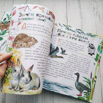 Танасийчук, Волцит, Альтшулер: Почемучкины сказки о животных