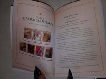 Тори Хартман: Чакры. Источник мудрости. Карты-оракул (49 карт и инструкция в подарочной коробке)