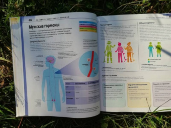 Уинстон, Антробус, Дэй: Как помочь ребенку повзрослеть. Иллюстрированное руководство для родителей по переходному возрасту