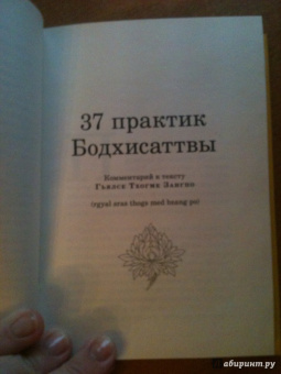 XVII Кармапа: Практика Бодхисаттвы