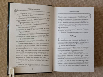 Эйке Шнайдер: Чистильщик