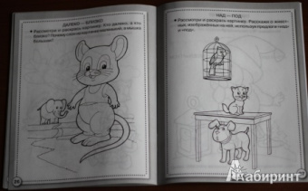 Лариса Маврина: Рабочая тетрадь дошкольника. Логика. Противоположности ФГОС