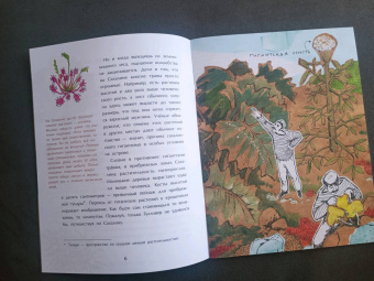 Анастасия Кудряшова: Сахалин. Самый большой остров в России