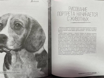 Егор Матита: Портреты. Карандашные техники достижения реализма